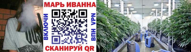 Шишки марихуана Bruce Banner купить цена Гагарин